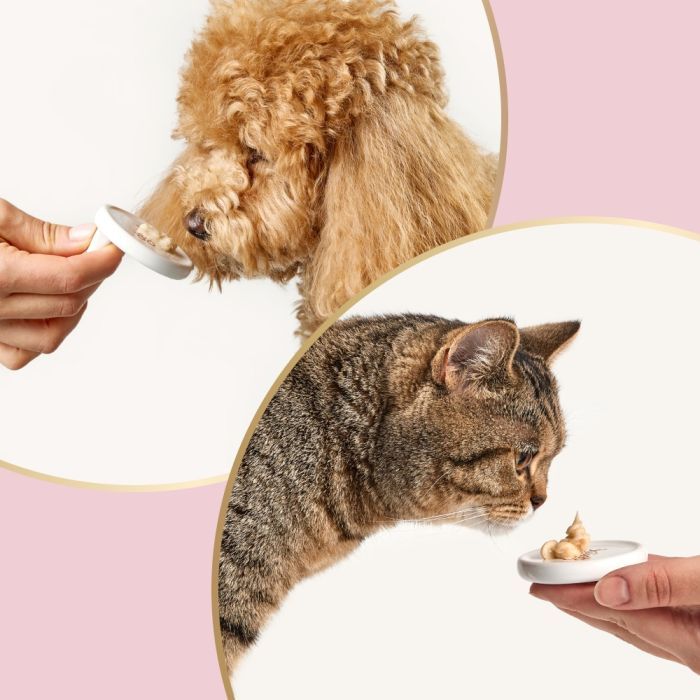 Лакомство для собак Delickcious Кремовые молоко с сыром 1+1 (4820269148062) изображение 9