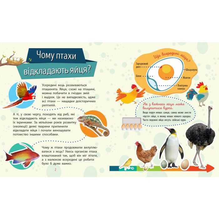 Книга Тварини. Чомусики - Г.К. Булгакова Ранок (9786170937810) зображення 3