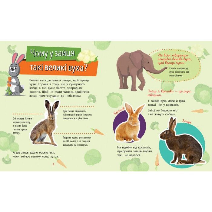 Книга Тварини. Чомусики - Г.К. Булгакова Ранок (9786170937810) зображення 4