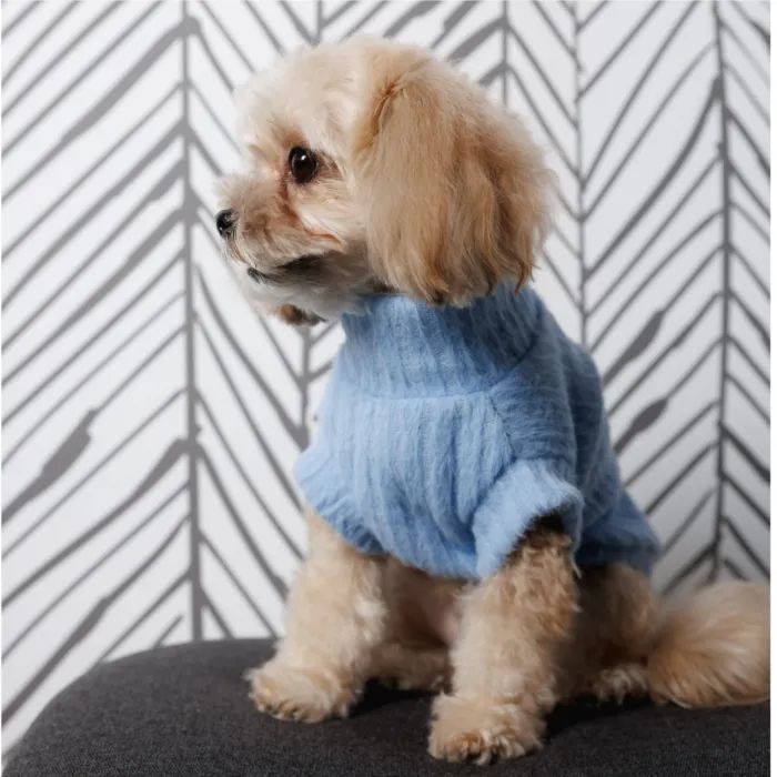 Свитер для животных Pet Fashion Ball S голубой (4823082445110) изображение 4