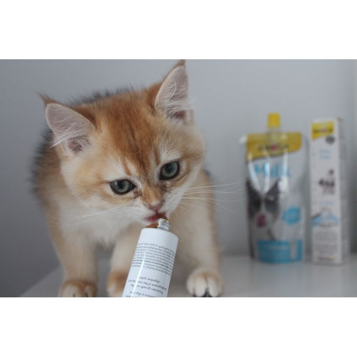 Паста для животных GimCat Expert Line Kitten витаминизированная 50 г (4002064920191) изображение 4