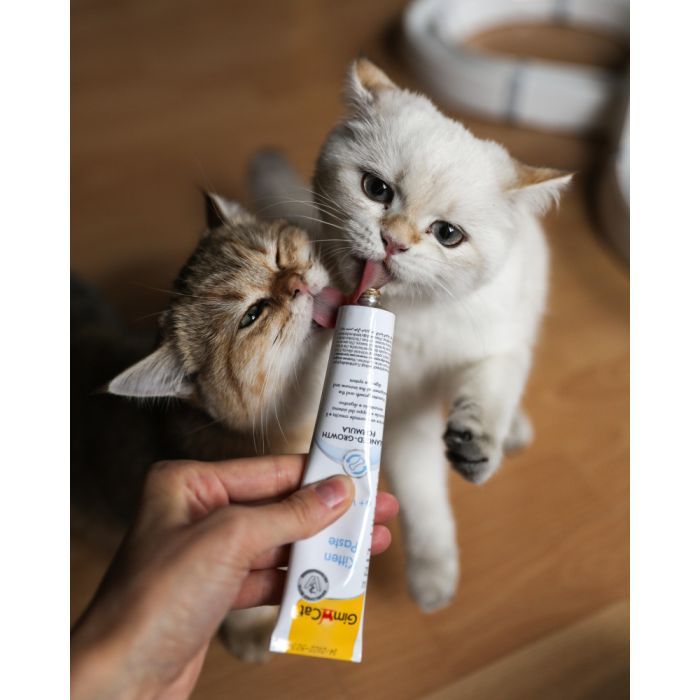 Паста для животных GimCat Expert Line Kitten витаминизированная 50 г (4002064920191) изображение 5