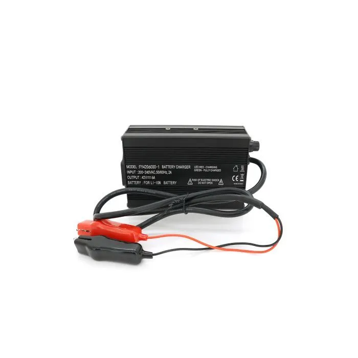 Сетевое зарядное устройство для АКБ Voltronic Li-ion 36V(42V), 10S, 6A (FY2060000-1) изображение 2