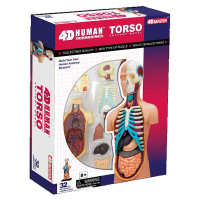 Пазл 4D Master Торс человека (26051)