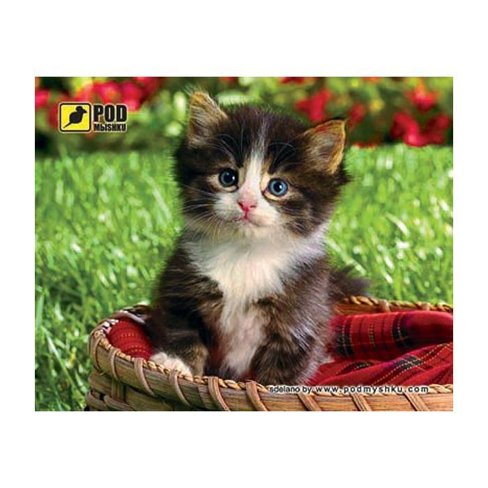 Килимок для мишки Pod Mishkou Кошеня у кошику
