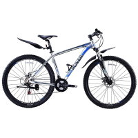 Велосипед Rover Тitanium 29" рама 19" Grey/Grey Blue 2018 (341318)