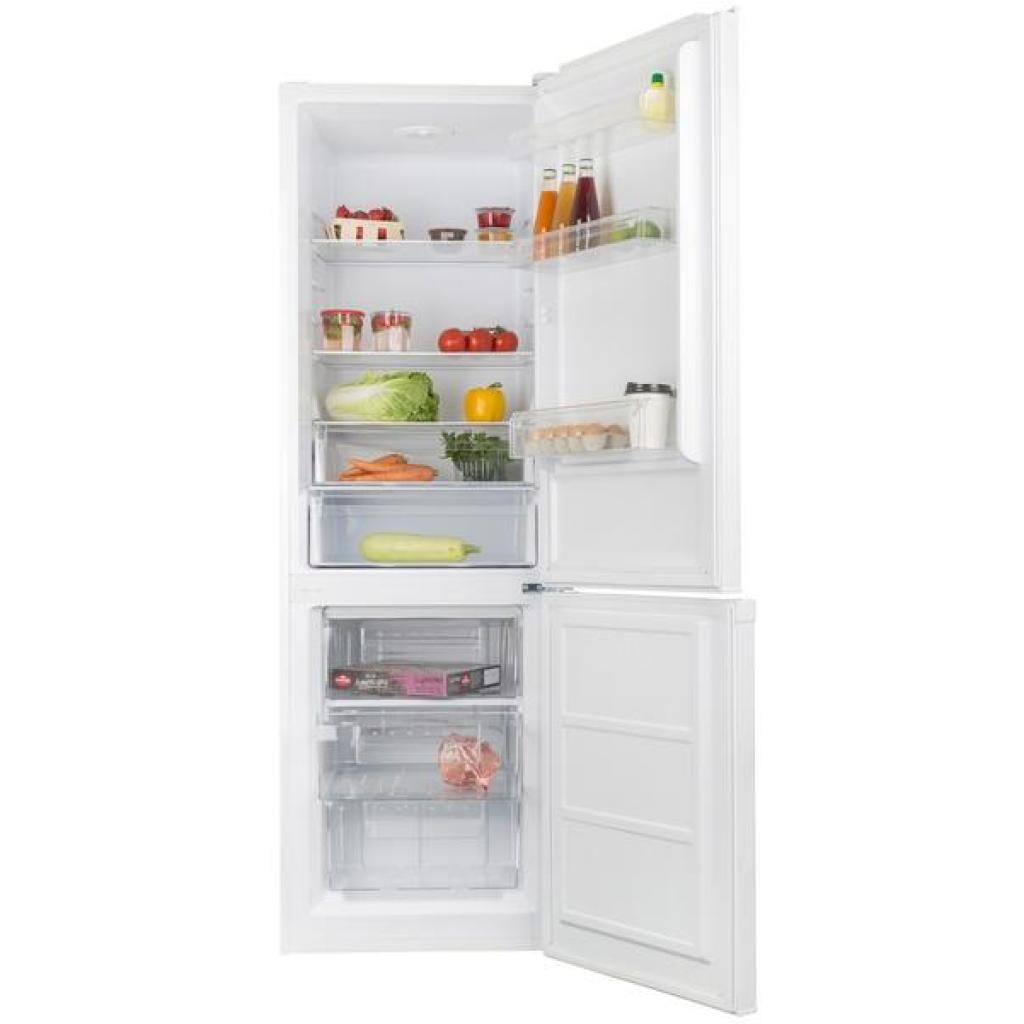 Холодильник Ergo MRF-185 зображення 4