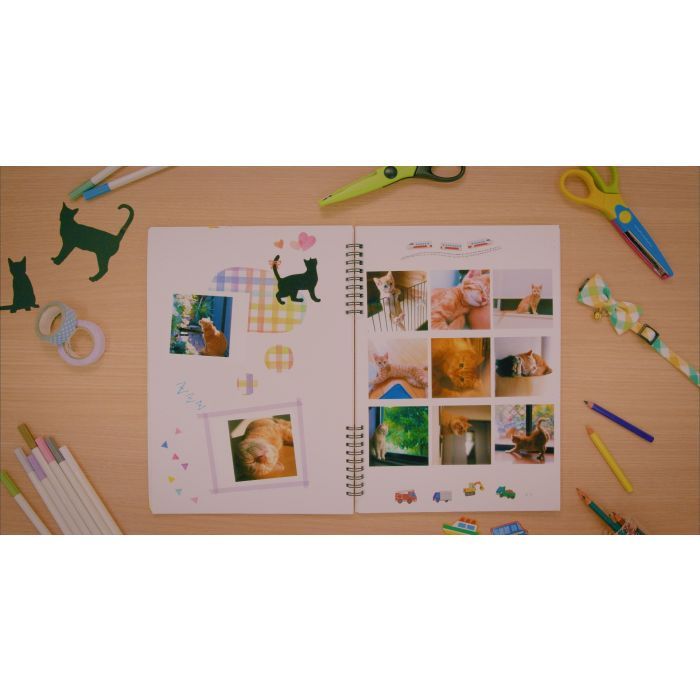 Картридж Canon XS-20L Ink/Paper Set - 20 Prints (4119C002) изображение 5