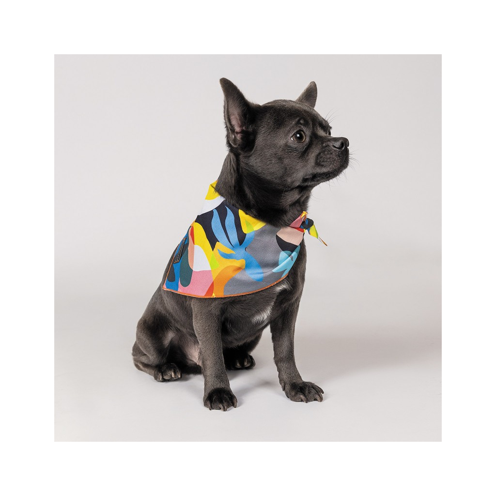 Бандана для животных Pet Fashion "WEEKEND" M-XL принт (4823082421091) изображение 2