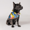 Бандана для животных Pet Fashion "WEEKEND" M-XL принт (4823082421091) изображение 2