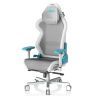 Кресло игровое DXRacer Air PRO White-turquoise (AIR-R1S-WQ.G-B3-NVF) изображение 2