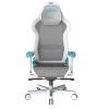 Кресло игровое DXRacer Air PRO White-turquoise (AIR-R1S-WQ.G-B3-NVF)