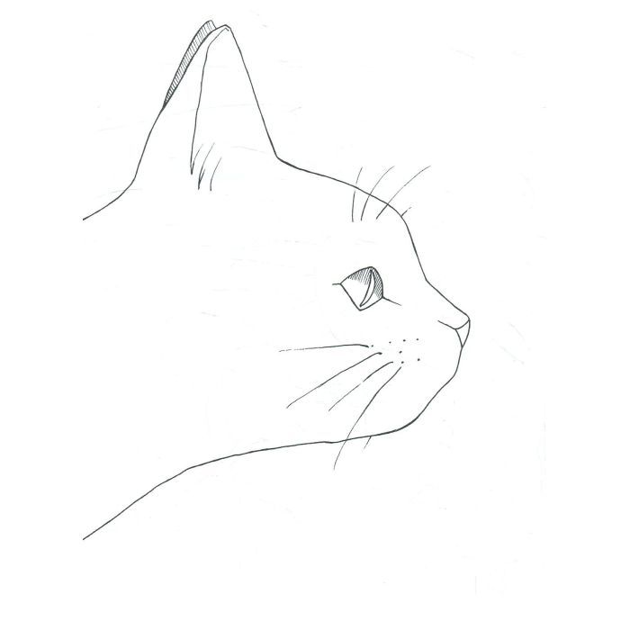 Книга #girls #fashion #cats Жорж (9786177579204) изображение 11