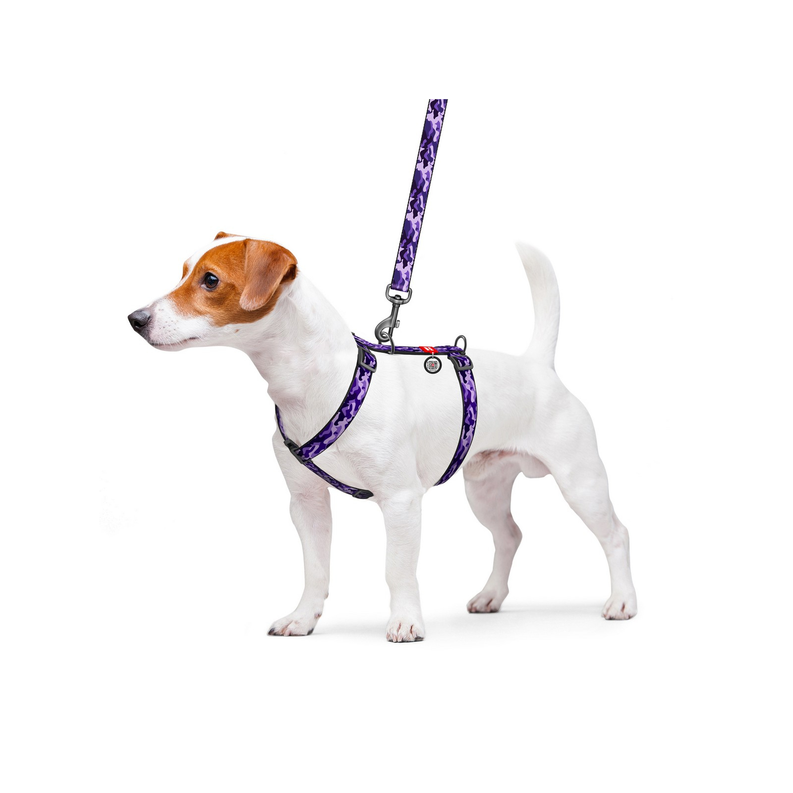 Шлей для собак WAUDOG Nylon с QR паспортом анатомическая H-образная "Фиолетовое камо" L (5534) изображение 3