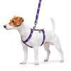 Шлея для собак WAUDOG Nylon з QR паспортом анатомічна H-подібна "Фіолетовий камо" L (5534) зображення 3