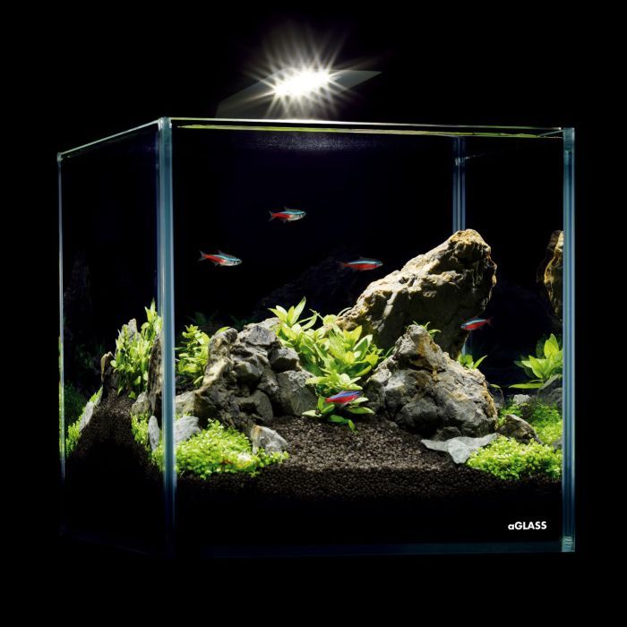 Акваріум Aqualighter набір NaGLASS Nano Set 220 мм 10 л (7142) зображення 5