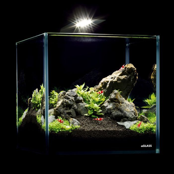 Акваріум Aqualighter набір NaGLASS Nano Set 220 мм 10 л (7142) зображення 6