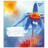 Зошит Yes Nature colorful 24 аркушів лінія (767045) зображення 4