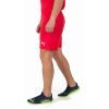 Шорты Puma teamRISE Short 704942-01 червоний XL (4063699210620) изображение 4