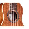 Укулеле Cordoba 15SM изображение 6