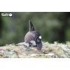 Пазл Eugy 3D Зоопарк Косатка (XEG-020) зображення 8