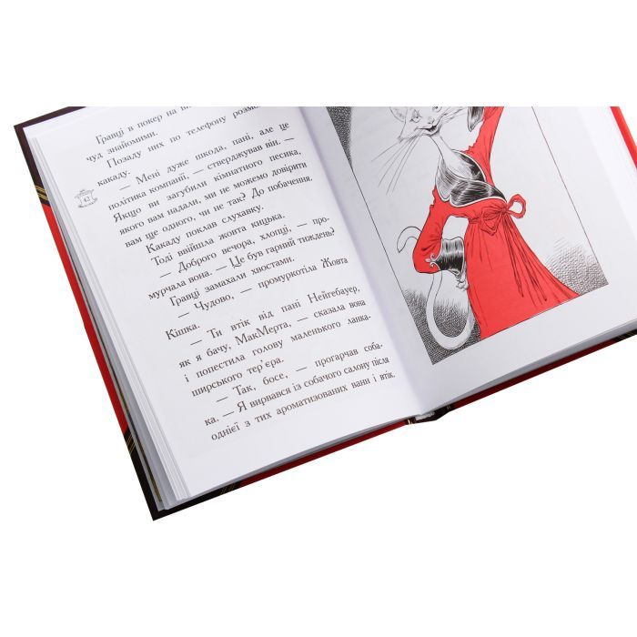 Книга Оттолайн і Жовта Кішка - Кріс Рідделл Ранок (9786170948328) зображення 5