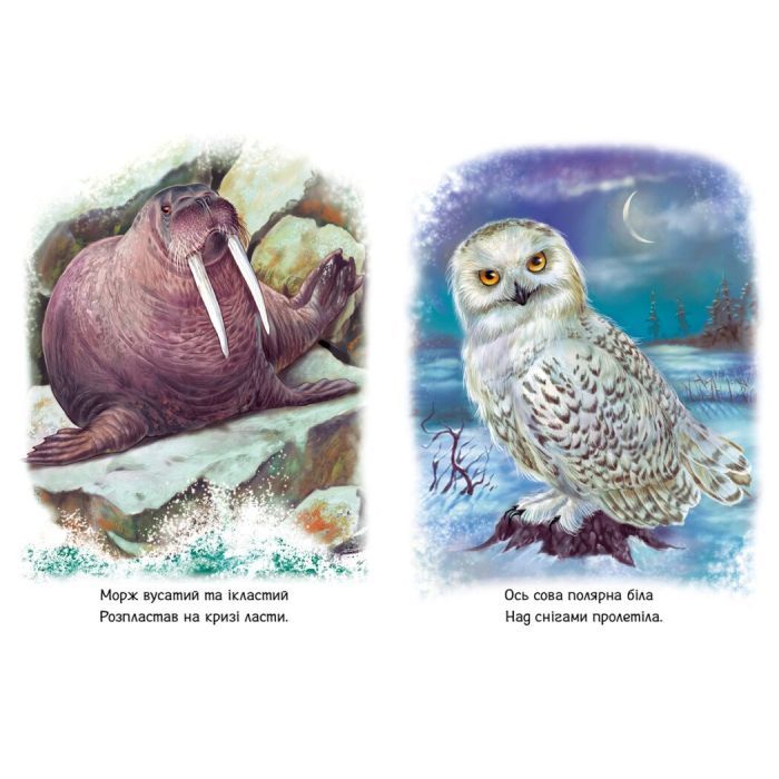 Книга Малятам про звіряток. Тварини світу. Збірник - Геннадій Меламед Ранок (9786170978677) изображение 4