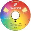 Пластик для 3D-принтера Polymaker PLA PANCHROMA MATTE 1,75mm 1kg PASTEL BANANA (CA04029) изображение 2