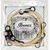 Струны для гитары Ibanez IACS62C Acoustic Guitar Strings 11-52 (301881) изображение 3