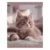 Дневник школьный ZiBi CUTE А5+, 40 листов (ZB.13911)