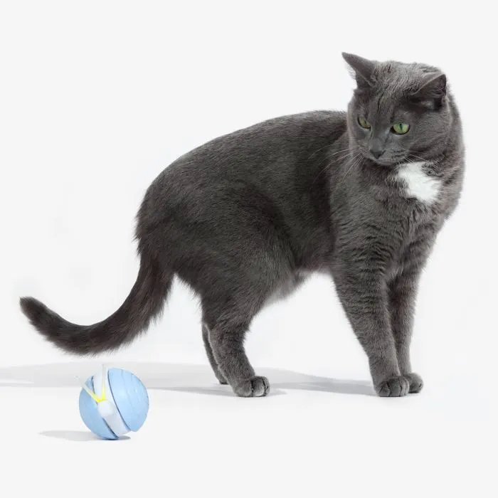 Іграшка для котів Cheerble Wicked Snail Blue (CWJ02B) зображення 5