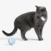 Іграшка для котів Cheerble Wicked Snail Blue (CWJ02B) зображення 5