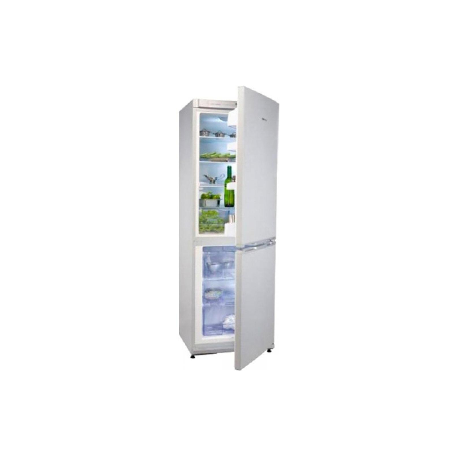 Холодильник Snaige RF36SM-S1RA21