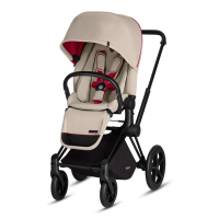 Коляска Cybex Priam Lux Seat for Scuderia Ferrari Silver Grey (519000043)