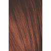 Краска для волос Schwarzkopf Professional Igora Royal Absolutes 6-80 Красный натуральный 60 мл (4045787282474) изображение 2