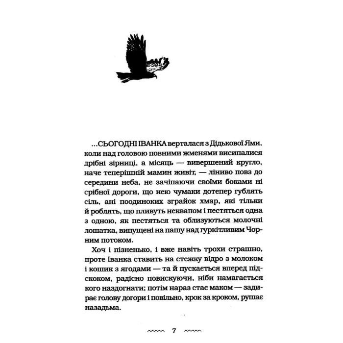 Книга Черевички Божої матері - Марія Матіос А-ба-ба-га-ла-ма-га (9786175852248) изображение 3