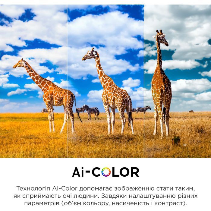 Телевизор TCL 50C645 изображение 10