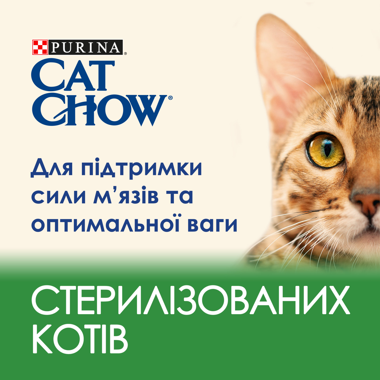 Сухой корм для кошек Purina Cat Chow Sterilised с индейкой 1.5 кг (7613287329516) изображение 5