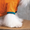 Футболка для животных Pet Fashion "ART" S оранжевая (4823082420940) изображение 3