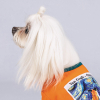Футболка для животных Pet Fashion "ART" S оранжевая (4823082420940) изображение 5