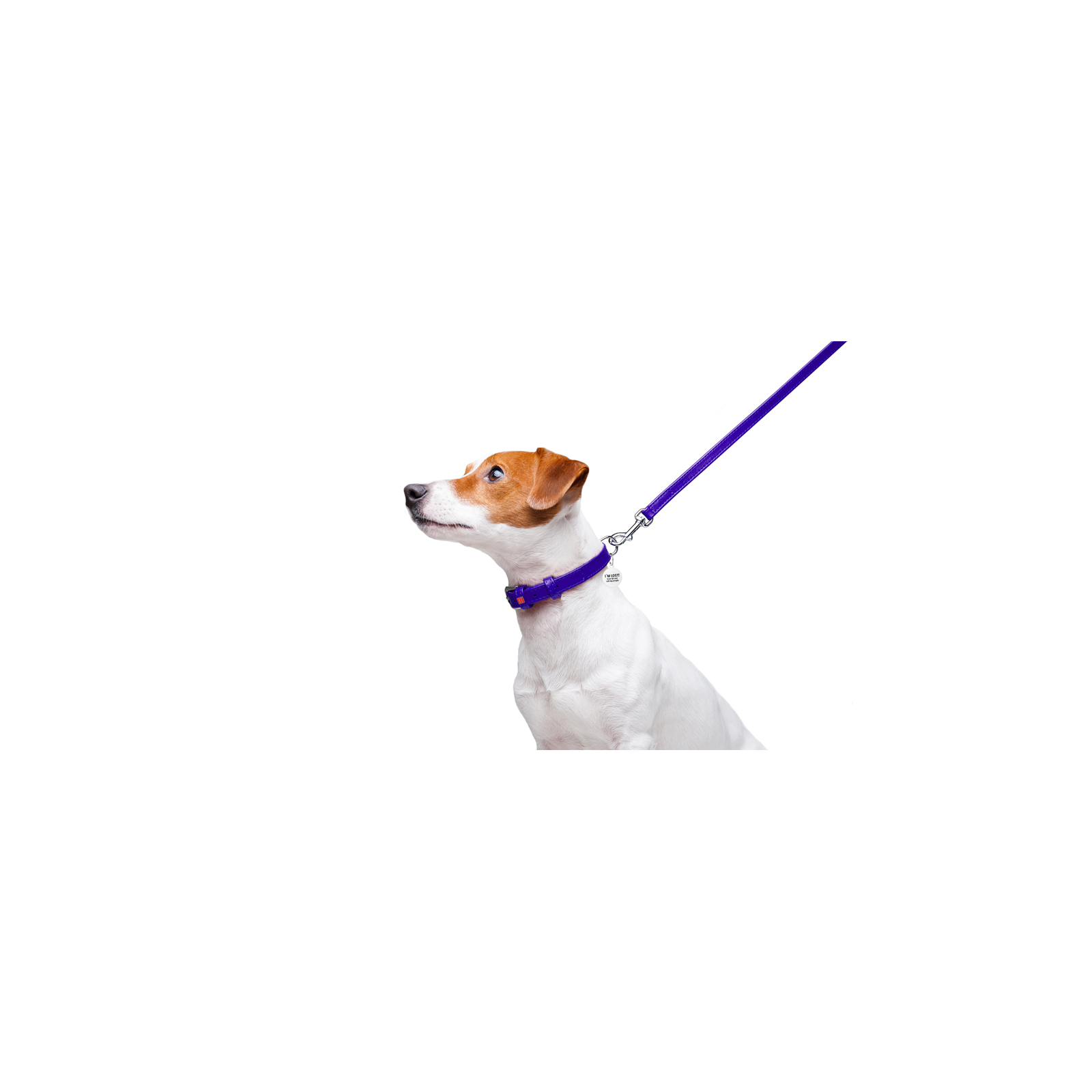 Повідок для собак WAUDOG Glamour шкіряний XS помаранчевий (33724) зображення 5