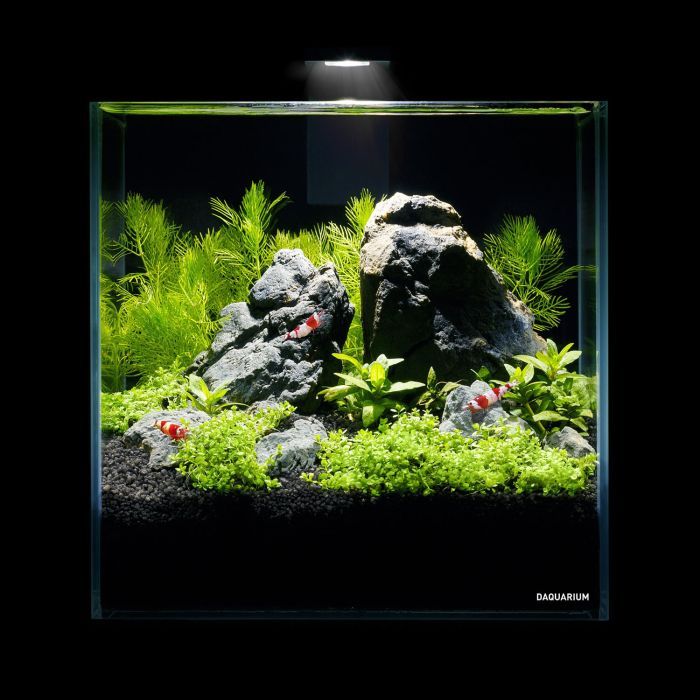 Аквариум Aqualighter набор DAQUARIUM Pico Set 170 мм 5 л (7141) изображение 5
