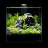 Аквариум Aqualighter набор DAQUARIUM Pico Set 170 мм 5 л (7141) изображение 5