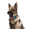 Ошейник для животных WAUDOG Nylon с QR-паспортом "Знамя" пластиковый фастекс XXL (284-0229) изображение 3