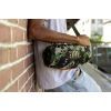 Акустическая система JBL Xtreme 4 Camo (JBLXTREME4CAMOEP) изображение 10