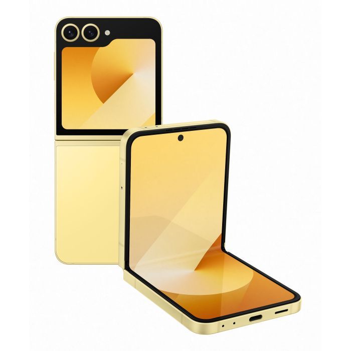 Мобильный телефон Samsung Galaxy Flip6 12/512Gb Silver Shadow (SM-F741BZSHSEK)