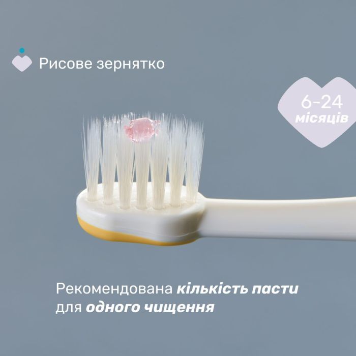 Детская зубная щетка Chicco 6-36 мес., 2 шт. сиренево-желтая (8058664174706) (12082.00) изображение 5
