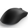 Мышка Dark Project Novus Wireless Black (DPP_Novus_BG) изображение 6