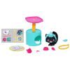 Игровой набор QT Kitties Котенок Эш (450001-6) изображение 3