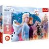 Пазл Trefl Maxi Frozen Чарівна подорож 24 елемента (5900511142983)